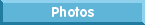 beanelf.org: Photos